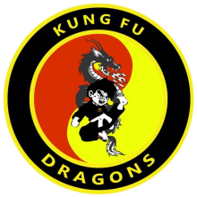 Programmatraining per gordel - Kung Fu Dragons