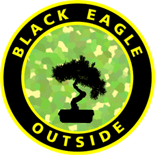 Black Eagle Outside