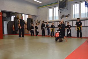 Kung Fu Dragons