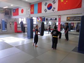 Kung Fu Dragons