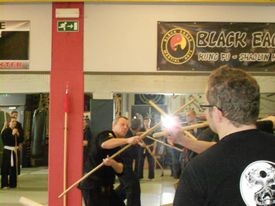 Bo & Kwan Dao workshop april 2012