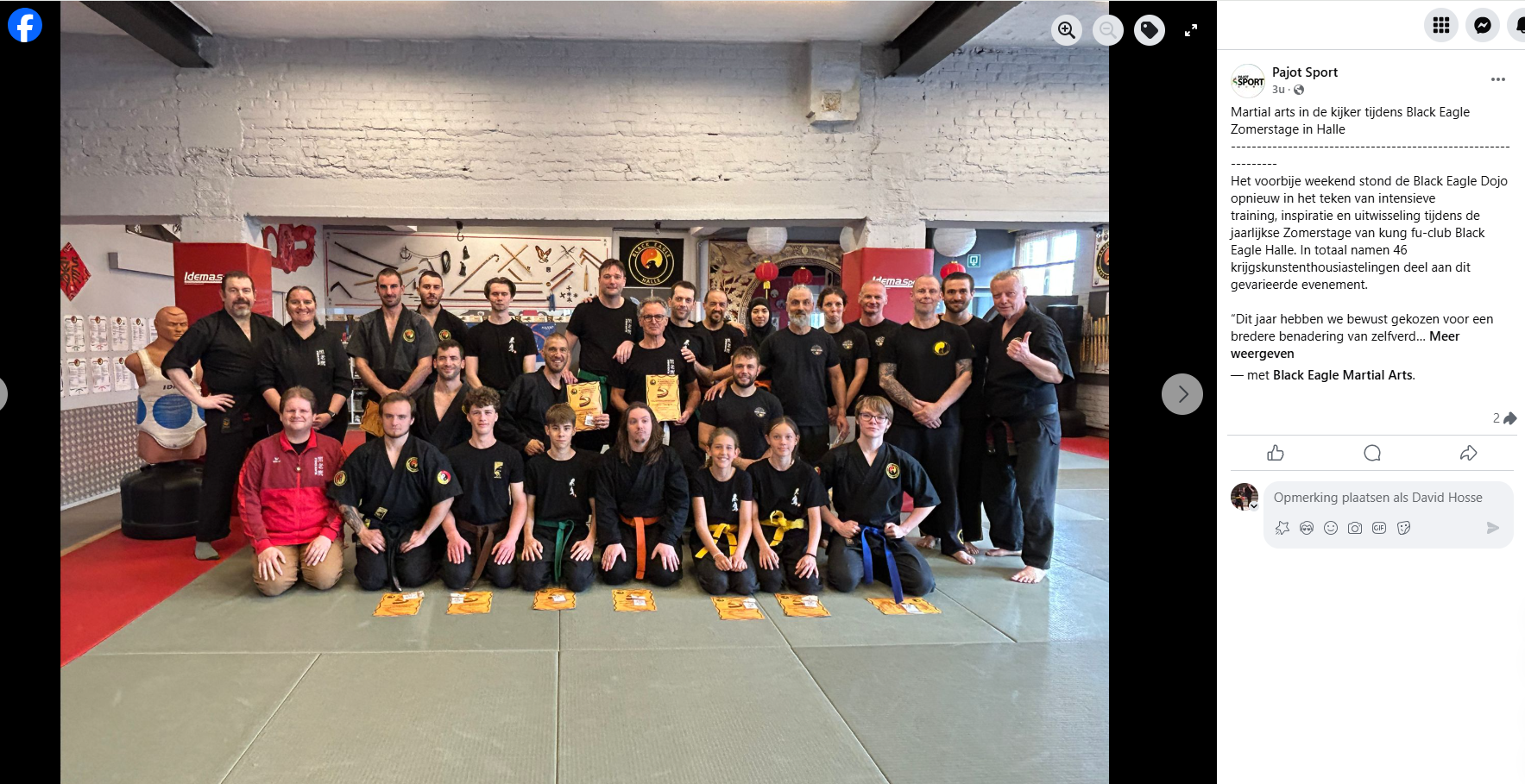 Martial arts in de kijker tijdens Black Eagle Zomerstage in Halle