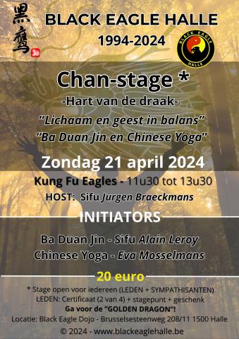 De Black Eagle Chan-stage "Lichaam en geest in balans - Ba Duan Jin en Chinese yoga" - Zondag 21 april 2024
