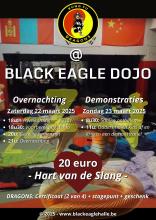 Kung Fu Dragons @ Black Eagle Dojo 2025 "Hart van de Slang"